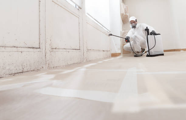 24/7 Emergency Mold Remediation experts in Franklin, PA