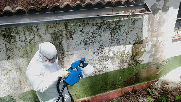 Top rated local Mold Remediation specialists in Franklin, PA